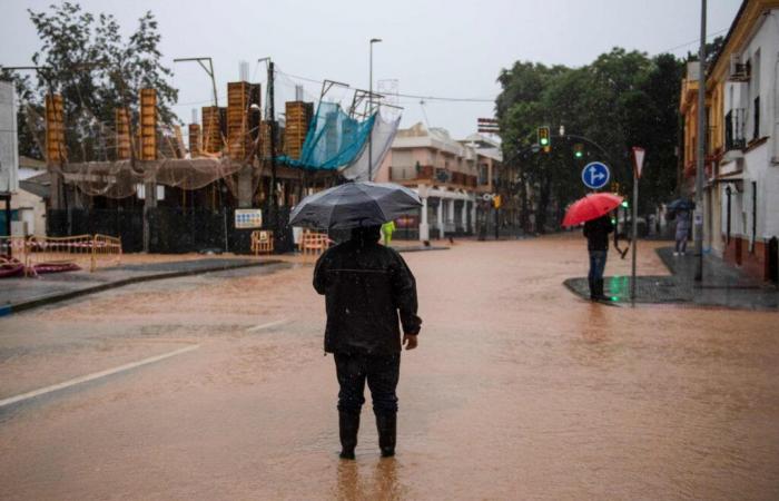 Malaga, Tarragone et Valence en alerte rouge face à de nouvelles pluies torrentielles, deux semaines après des inondations meurtrières