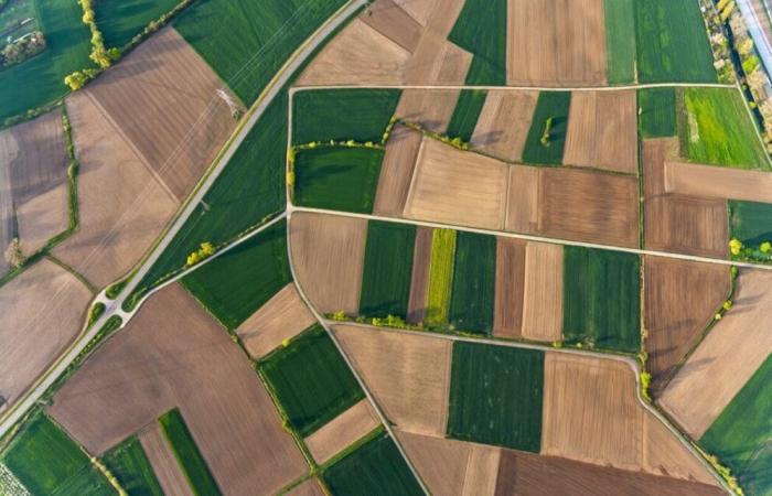 La Métropole de Lyon veut étendre de 3 000 hectares les zones agricoles protégées du territoire