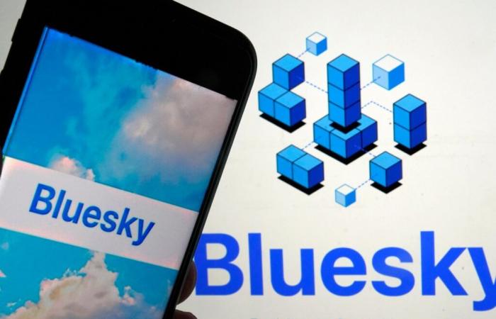 Bluesky ajoute 1 million d’utilisateurs après les élections américaines alors que les utilisateurs abandonnent X