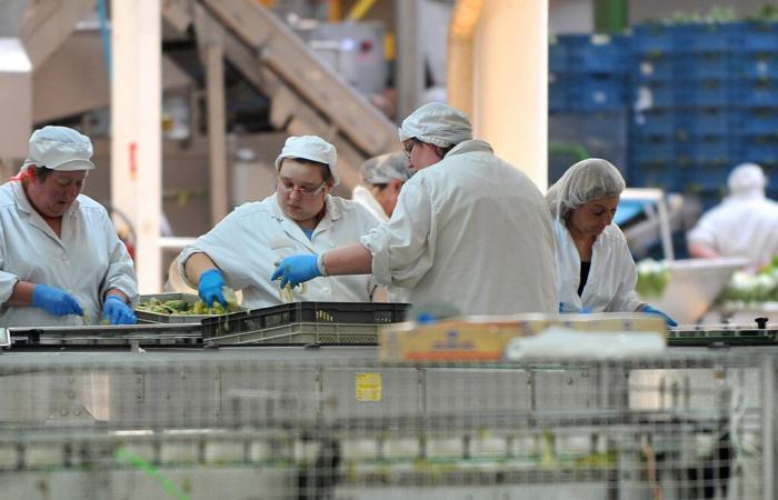 159 emplois menacés sur le site Bonduelle à Saint-Mihiel