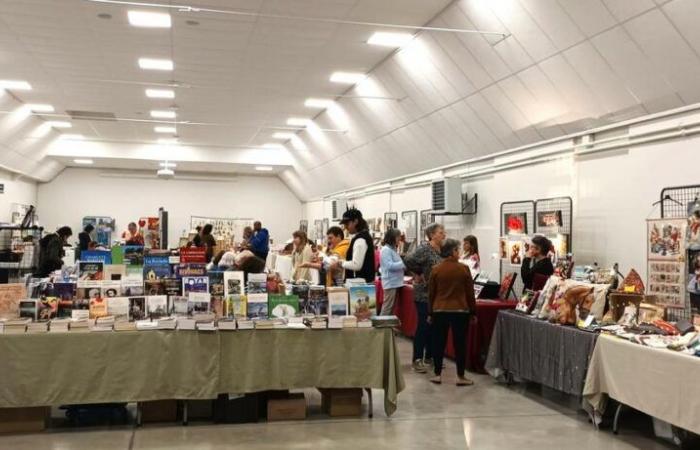 Roullet-Saint-Estèphe : le salon du livre et des créateurs prend son envol