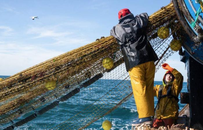 La pêche durable est-elle encore possible ? – Libération