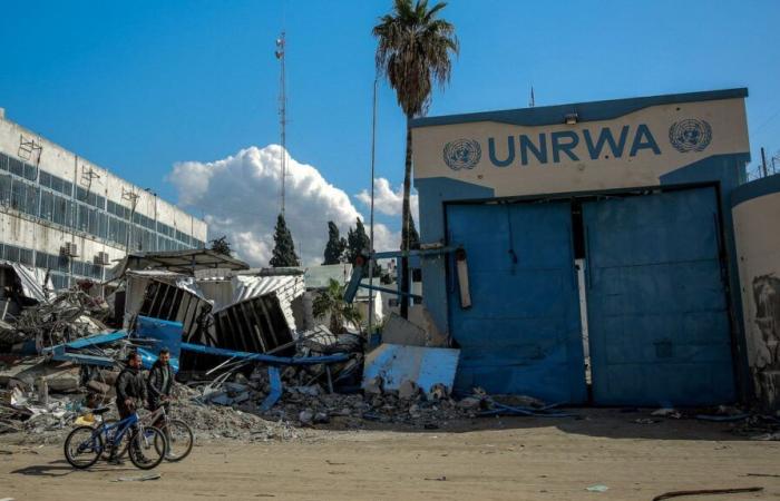 à Gaza, la colère et l’indignation d’un responsable de l’UNRWA