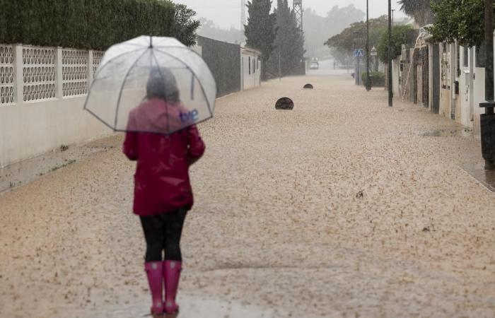 Images des inondations à Malaga par le nouveau DANA