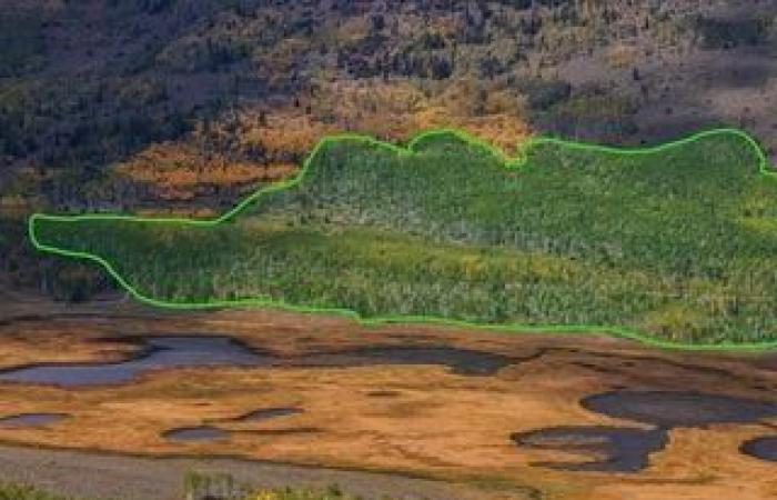 Dans quelle mesure le numérique est-il nocif pour notre environnement ?