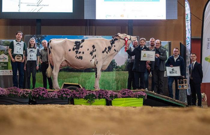 Lauréats du concours départemental de l’Orne 2024