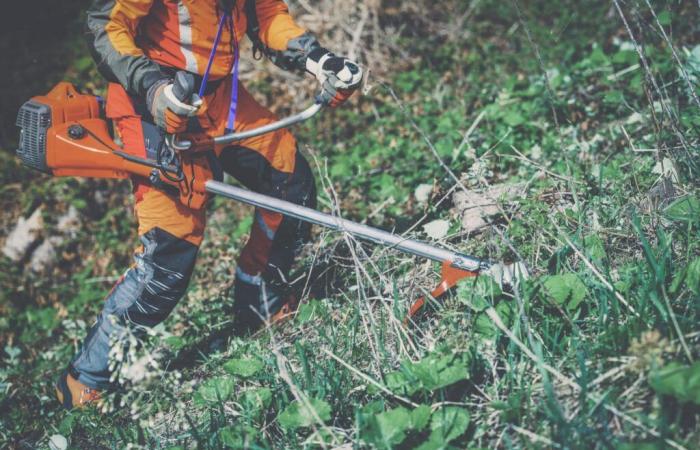 il est temps de débroussailler pour se protéger des incendies