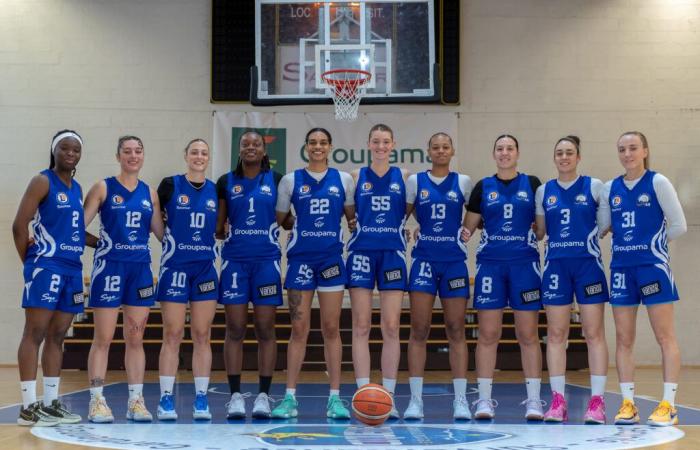 Le SLB 49 se déplace ce samedi à Basket Landes, co-leader du championnat