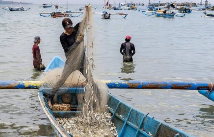 Les rendements de la microfinance devraient rester stables malgré les élections américaines