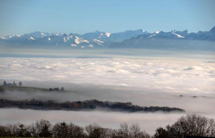 omniprésent, le brouillard a pris le dessus