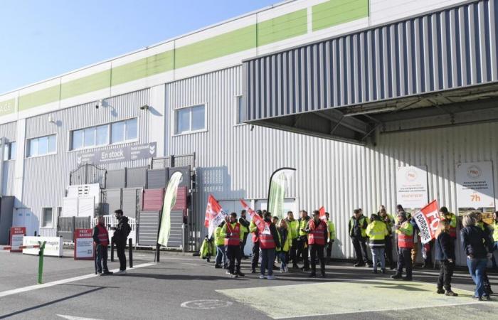 Les salariés de Leroy Merlin en Dordogne en grève pour de meilleurs salaires