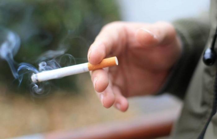 Dans cette commune du Val-d’Oise, les mégots de cigarettes servent à confectionner des manteaux