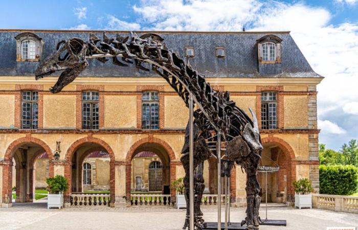 Vulcain, le plus gros dinosaure vendu aux enchères ce samedi 16 novembre à Dampierre-en-Yvelines