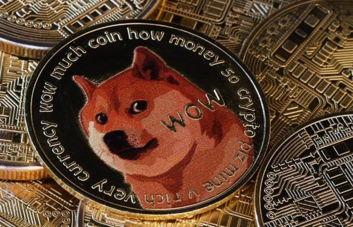 Dogecoin augmente brièvement de 20 % après que Trump a annoncé un ministère de l’efficacité gouvernementale – DOGE