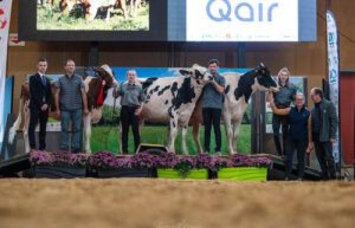 Lauréats du concours départemental de l’Orne 2024