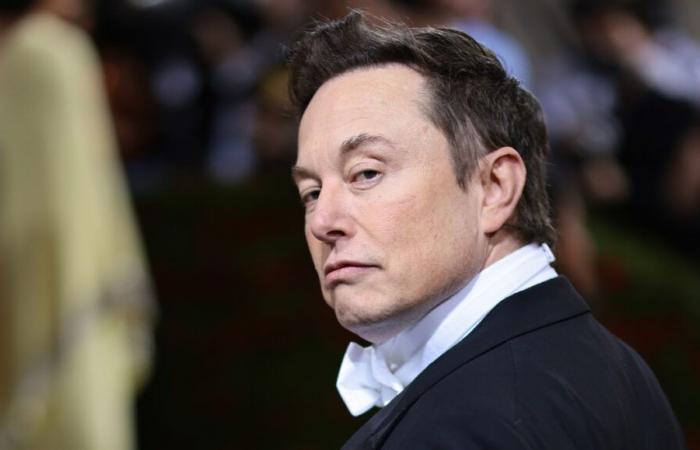 Elon Musk travaillera bien avec le gouvernement Trump