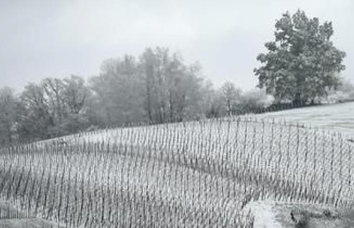 Combien de temps durera la première vague de froid ?