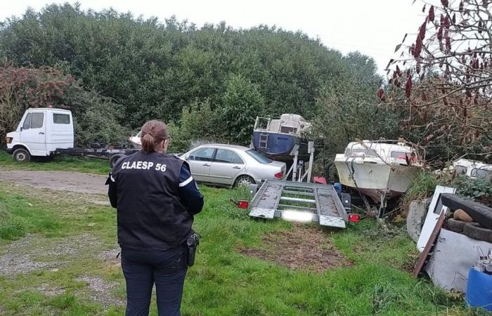 de nombreuses épaves de véhicules découvertes lors d’une opération à grande échelle