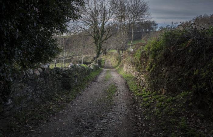 Sur le chemin de Saint-Jacques de Compostelle, des femmes victimes d’un harcèlement sexuel « terrifiant »