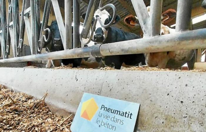 Pneumatit, l’étrange béton « aux forces vitales » qui gagne du terrain en Bretagne