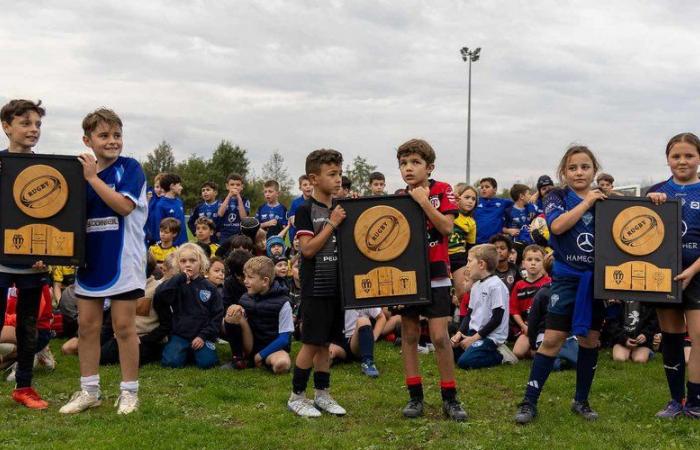 Albi. Plus de 300 jeunes rugbymen réunis à Guitardié