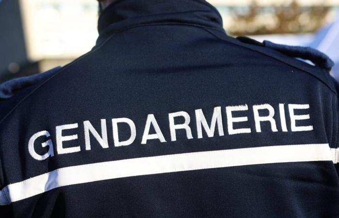 3 enfants retrouvés morts, la mère soupçonnée de meurtre