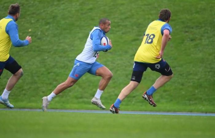 Gaël Fickou avant France – Nouvelle-Zélande : « J’ai toujours dû me battre » (Bleus)