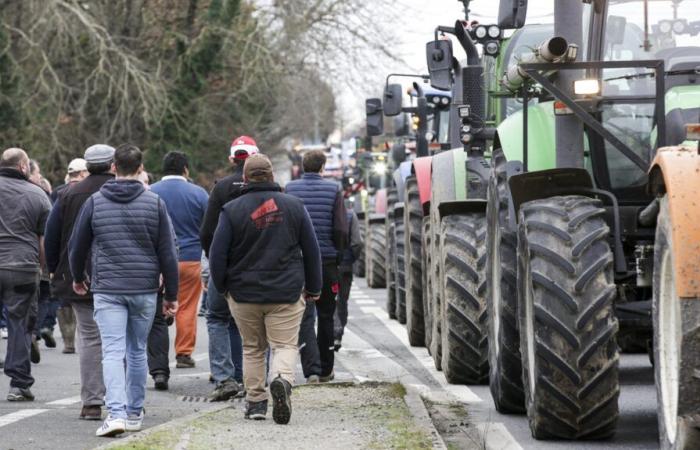 Les syndicats agricoles d’Indre-et-Loire envisagent des mobilisations contre l’accord UE-Mercosur