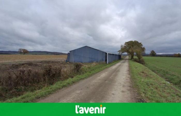 100 000 poules dans deux hangars à Al Bégôle ?