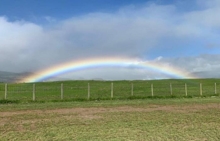 Prévisions météo du comté d’Hawaï pour le 13 novembre 2024 : Big Island maintenant