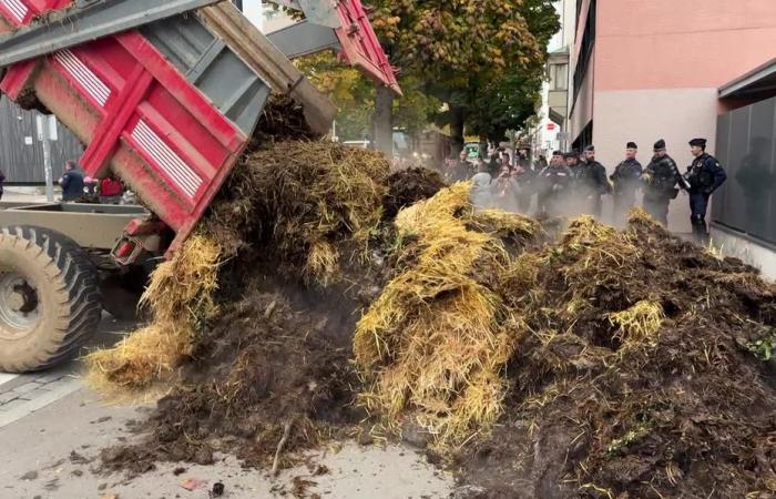 Les agriculteurs du Haut-Rhin allumeront des bûchers à partir de jeudi pour exprimer leur désarroi