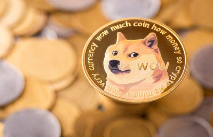 Dogecoin (DOGE) Prévision de prix 2024, 2025, 2026 et 2030 – Forbes Advisor INDE