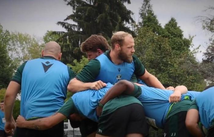 RUGBY. Terrible rechute après seulement trois matches de Top 14 pour Mickaël Capelli (Pau)