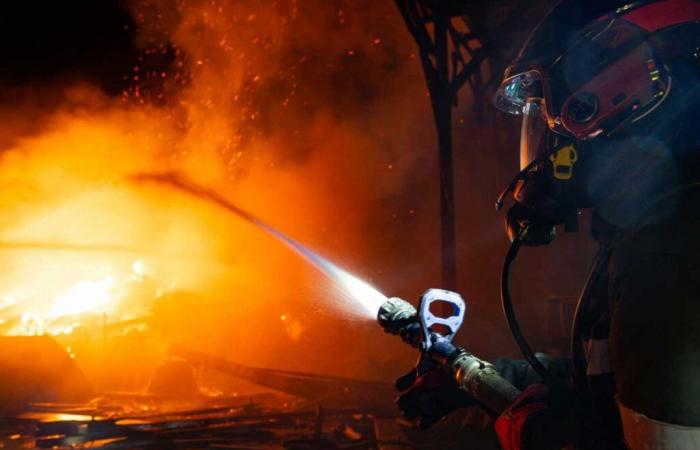 les pompiers sauvent les animaux d’un bâtiment en feu