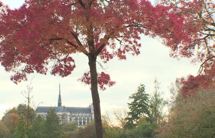 Bulletin météo. Quel temps fait-il ce mercredi 13 novembre dans les Hauts-de-France ?