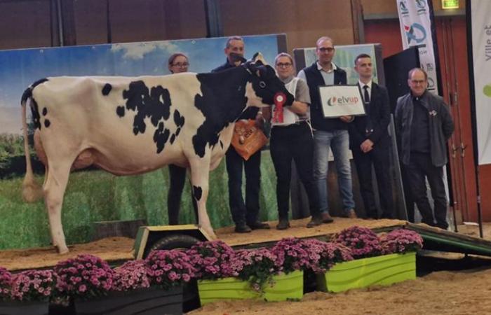 Lauréats du concours départemental de l’Orne 2024