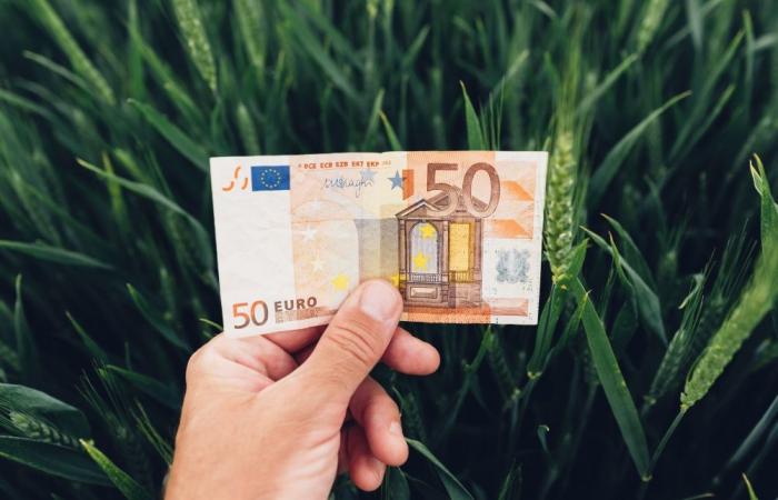 Quel est le salaire moyen d’un agriculteur en Belgique ?