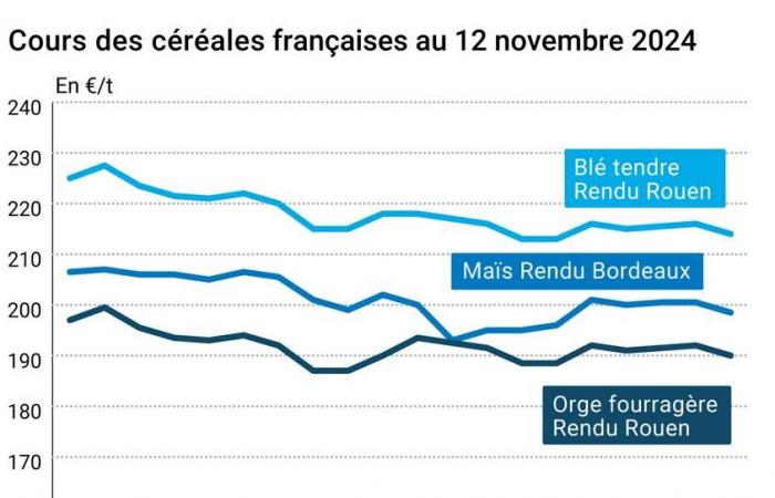 Céréales – Forte baisse des prix du blé américain, l’origine européenne résiste