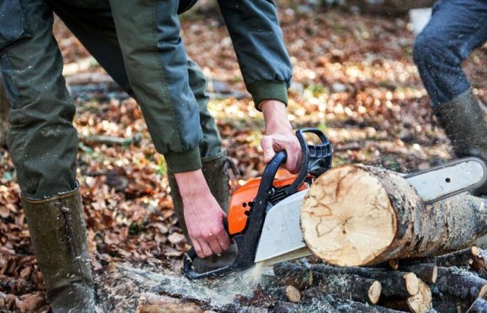 Jonathan Crabos, bûcheron, un professionnel passionné au service de la forêt