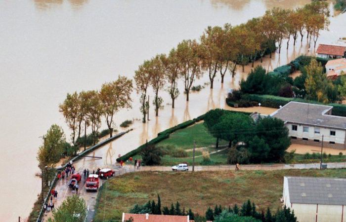 le terrible souvenir des 6 000 hectares de vignes détruits dans l’Aude il y a 25 ans