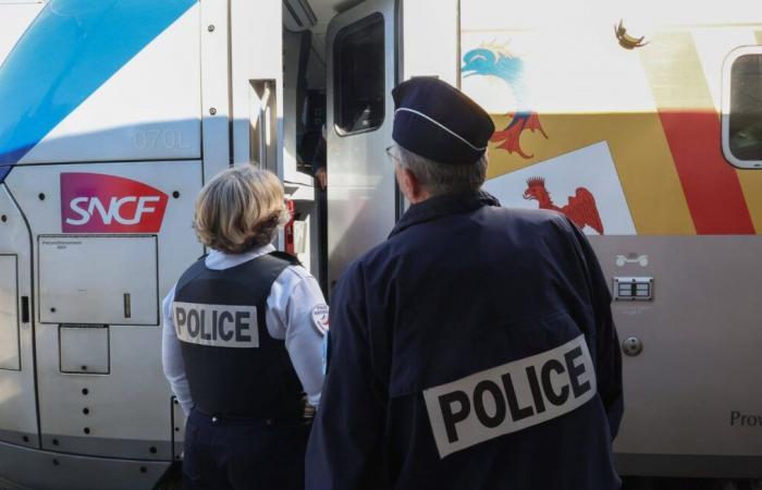 Un homme arrêté dans un train à Toulon, soupçonné d’autres meurtres et agressions