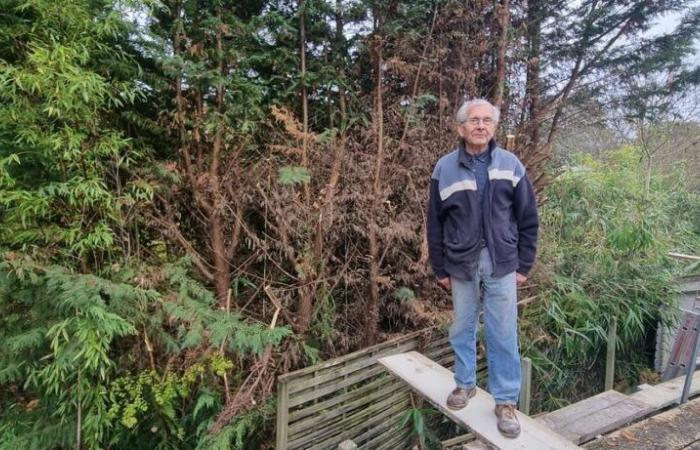 à Deviat il coupe la haie de son voisin qui ombrage sa maison