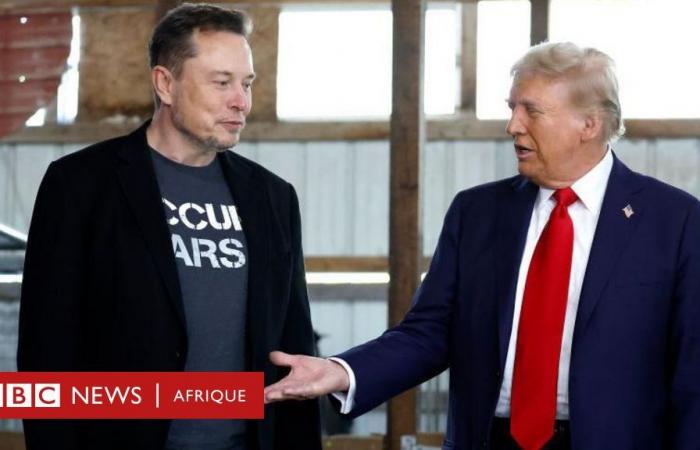 Le président élu des États-Unis nomme le fondateur de Tesla à la tête du nouveau ministère de l’Efficacité du gouvernement