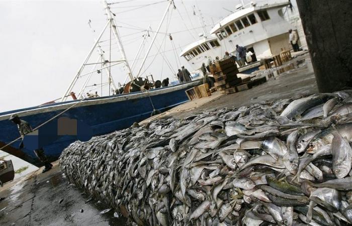 L’UE « Coule » les eaux sénégalaises