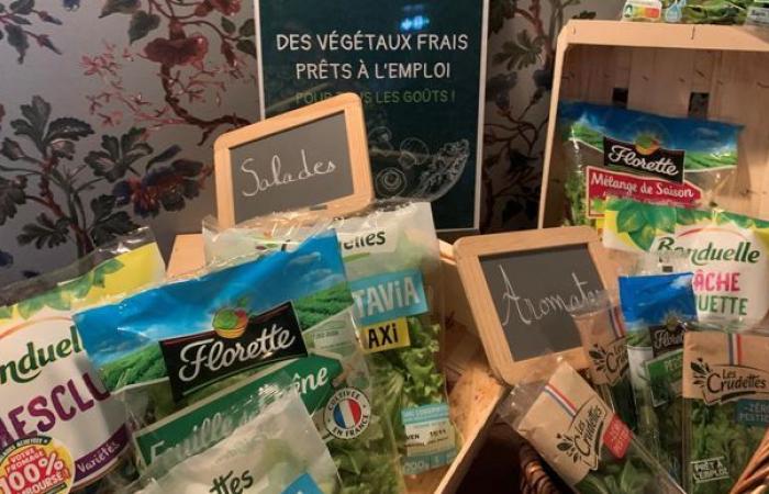 Les salades et légumes prêts à l’emploi ont toujours la cote