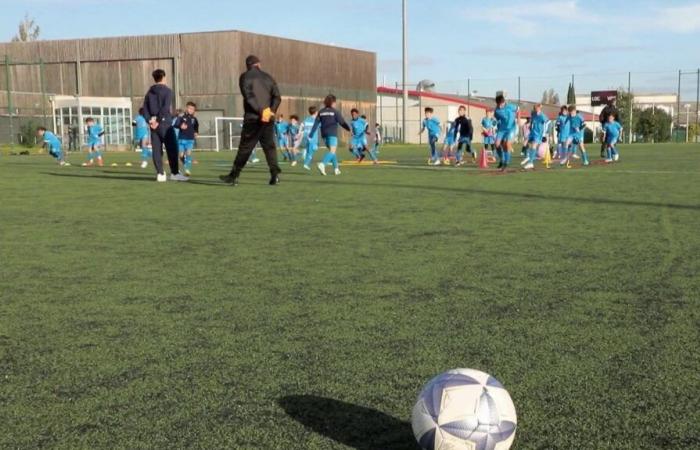 VIDÉO. Quand les parents des joueurs des petits clubs de foot s’en prennent aux éducateurs