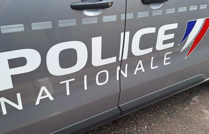 l’homme interpellé est soupçonné d’avoir agressé une femme à coups de pierres à Dijon