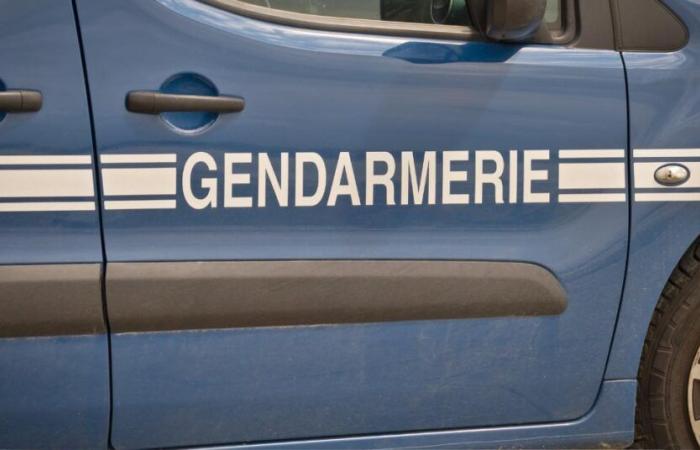 trois enfants retrouvés morts, la mère recherchée