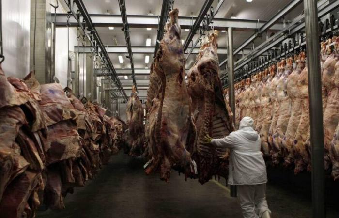 Un abattoir suspendu en Savoie après une plainte de L214 pour « actes de cruauté »