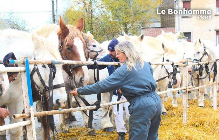 6 idées de sorties des 16 et 18 novembre dans le nord de l’Oise